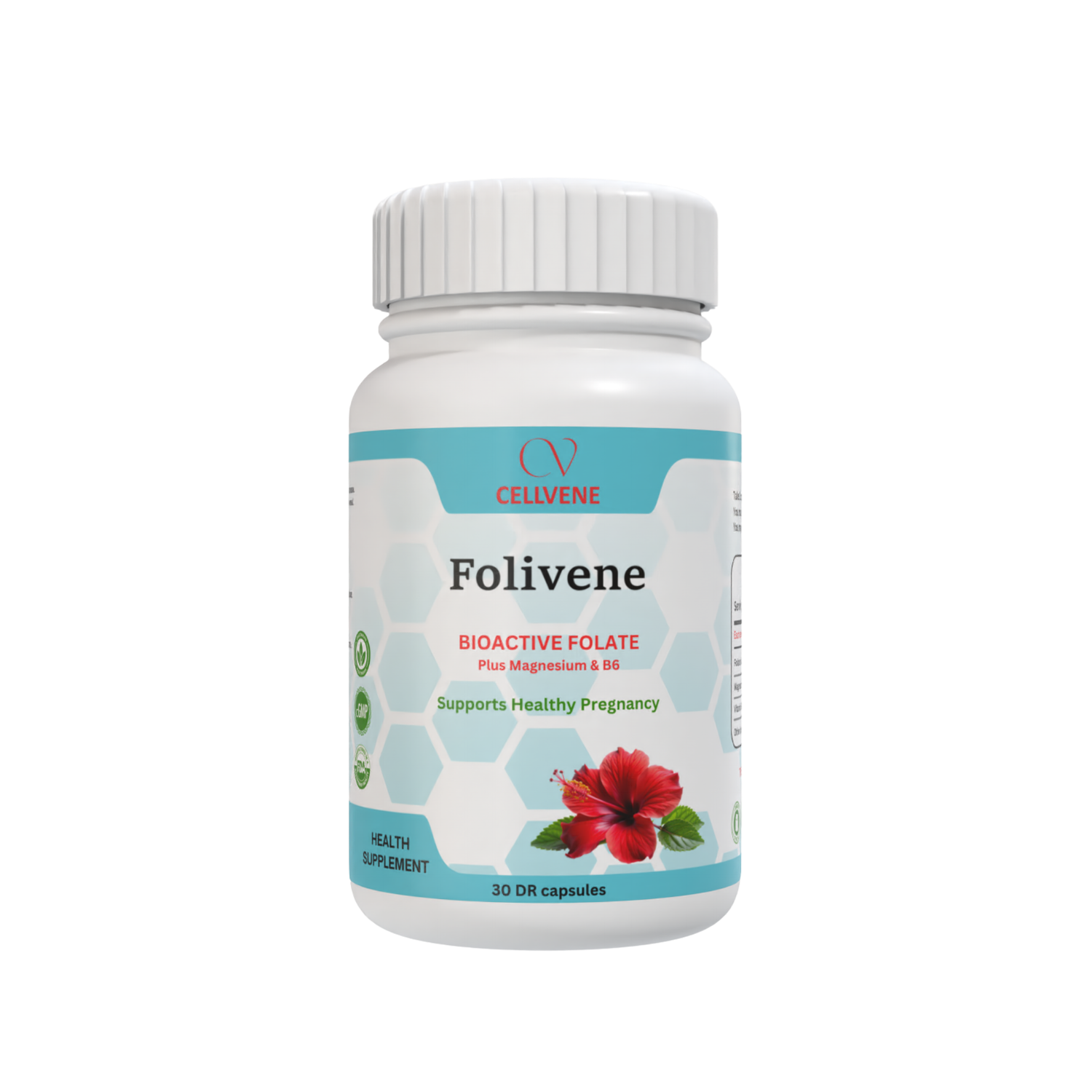 Folivene